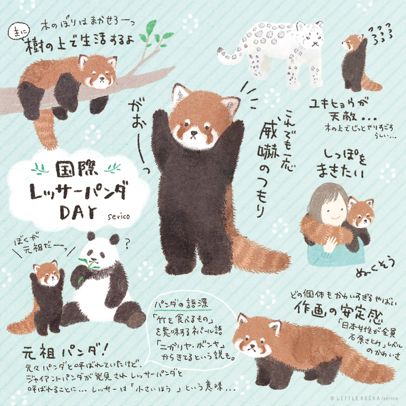 レッサーパンダshusei Serico Official Website イラストレーター 絵本作家